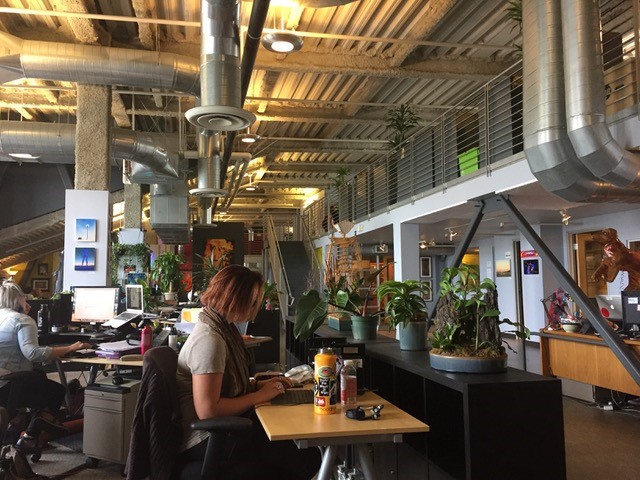 View of office space, plants and people sitting atdesks.